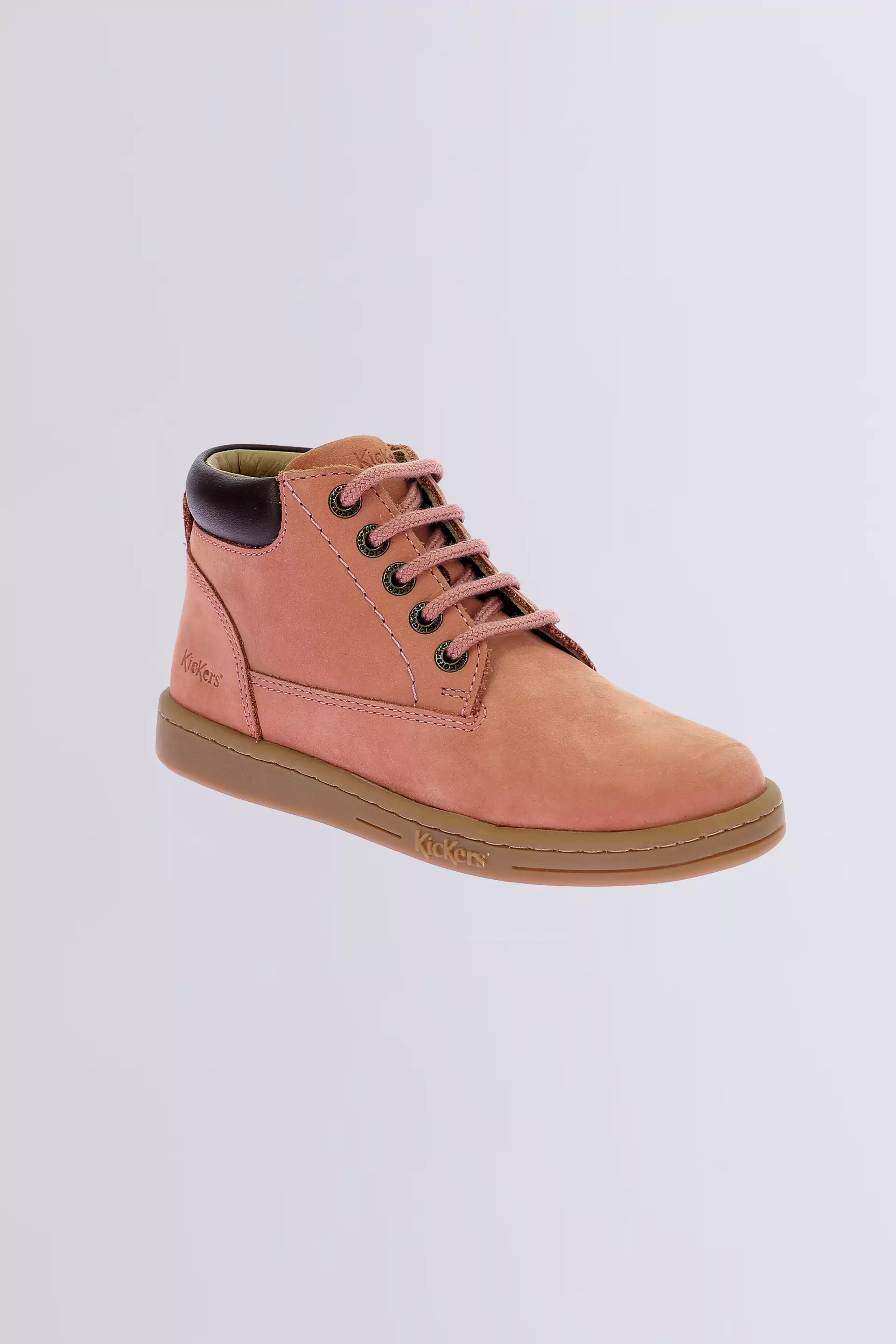 TACKLAND ROSE (24-36)