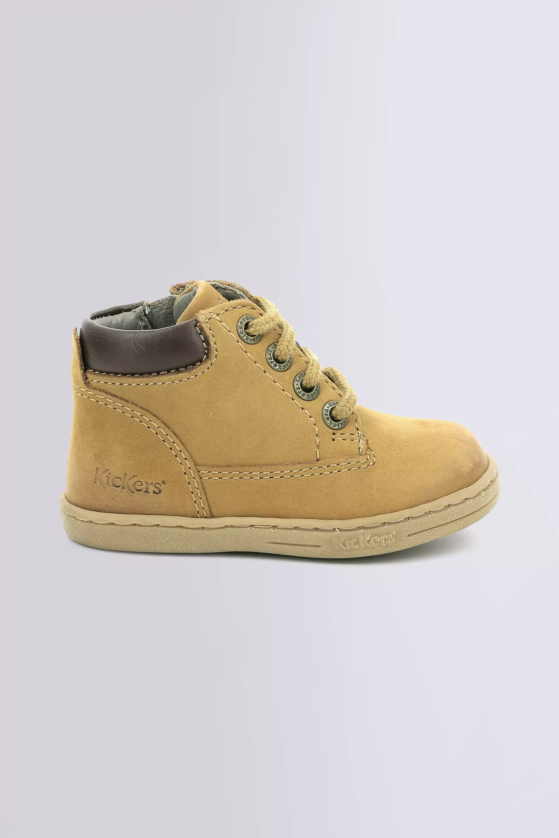 Tackland Camel (18-23) Tackland Camel (18-23)
