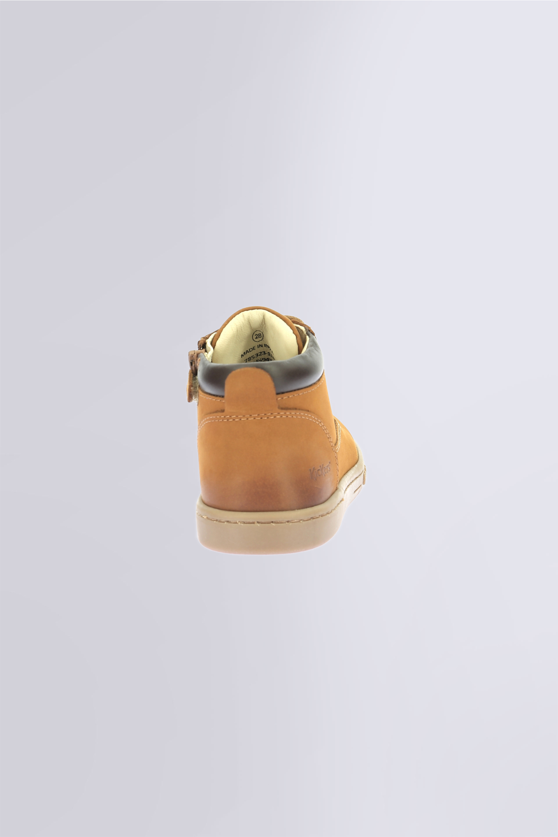 TACKLAND CAMEL (24-36) TACKLAND CAMEL (24-36)