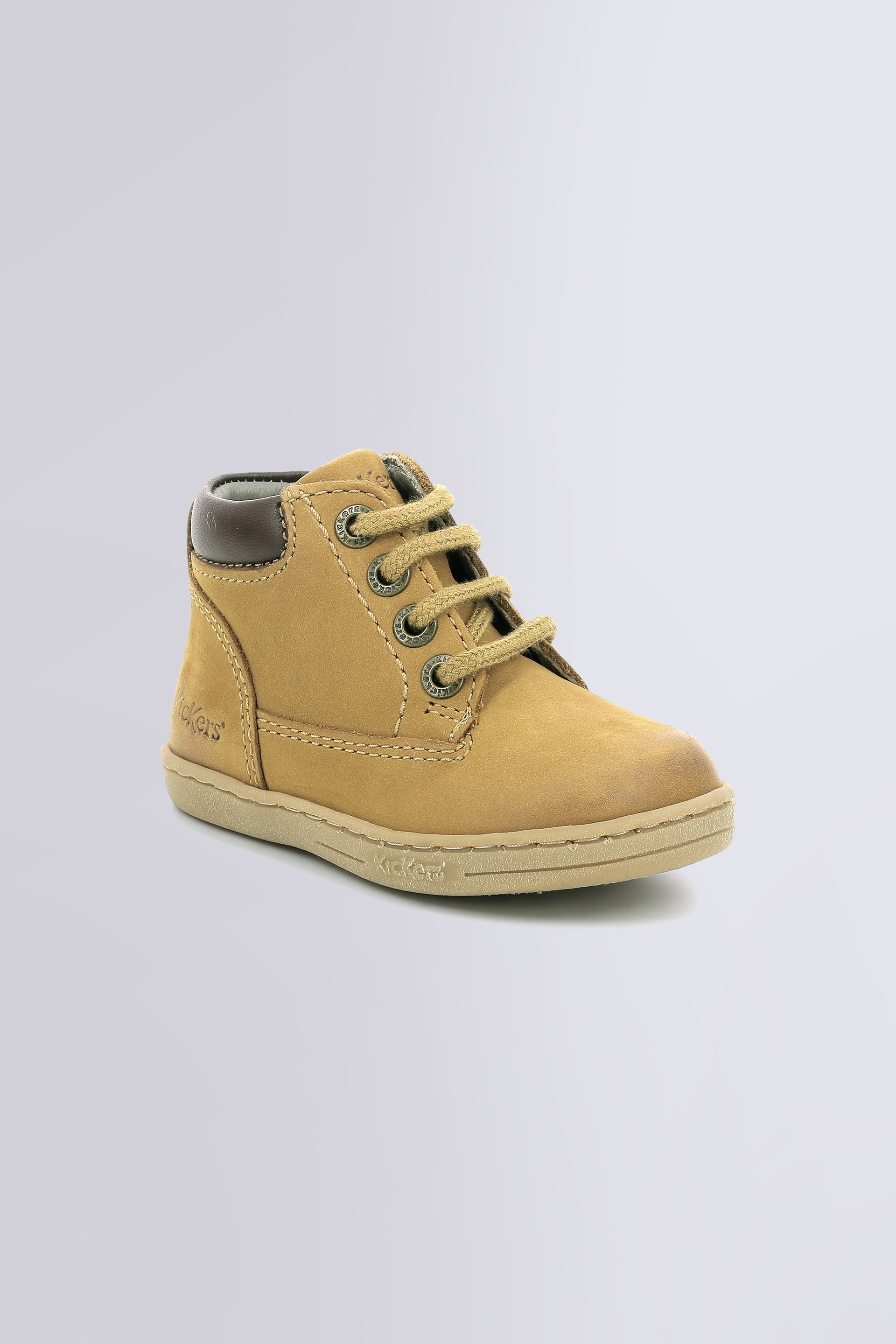 Tackland Camel (18-23) Tackland Camel (18-23)