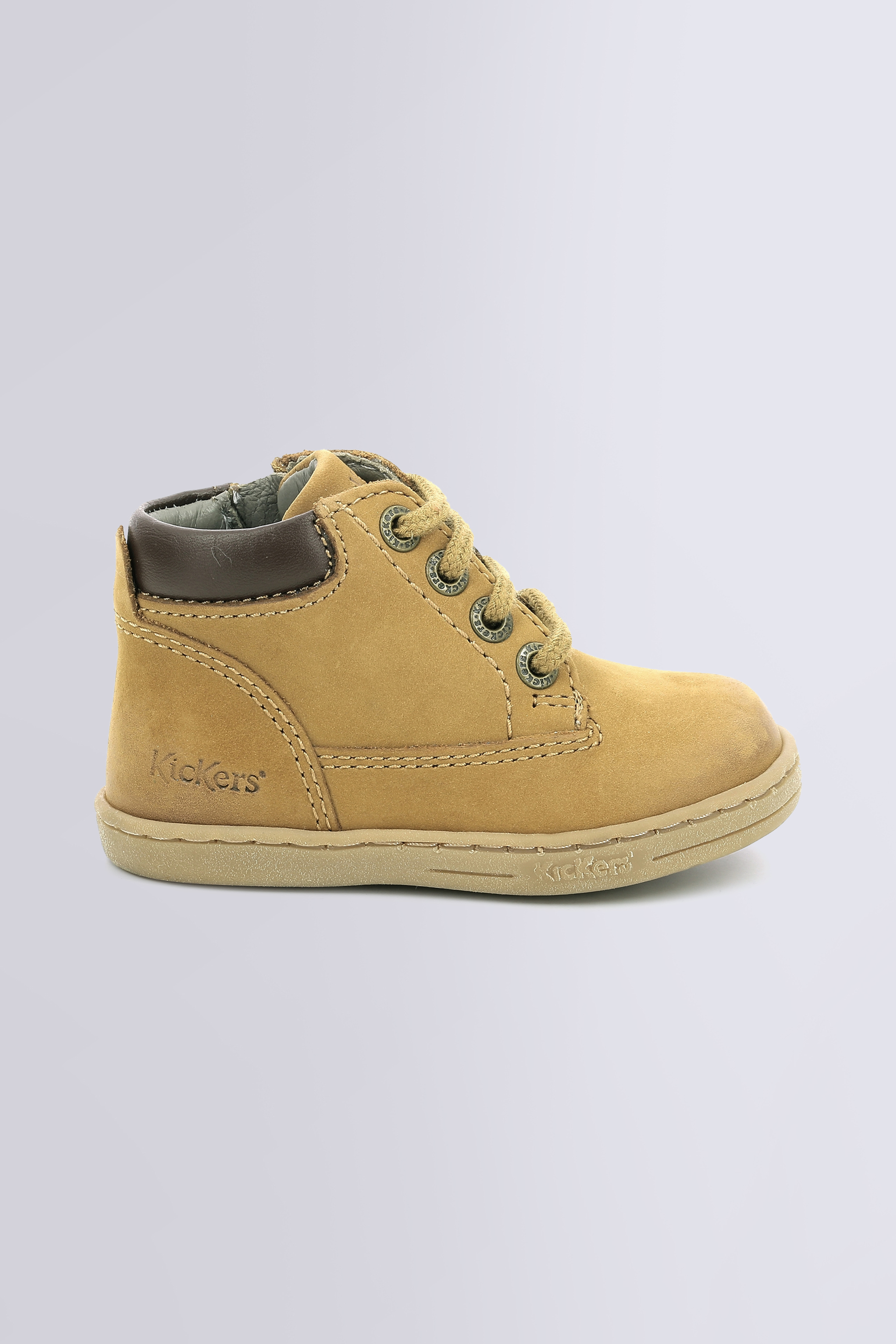 Tackland Camel (18-23) Tackland Camel (18-23)