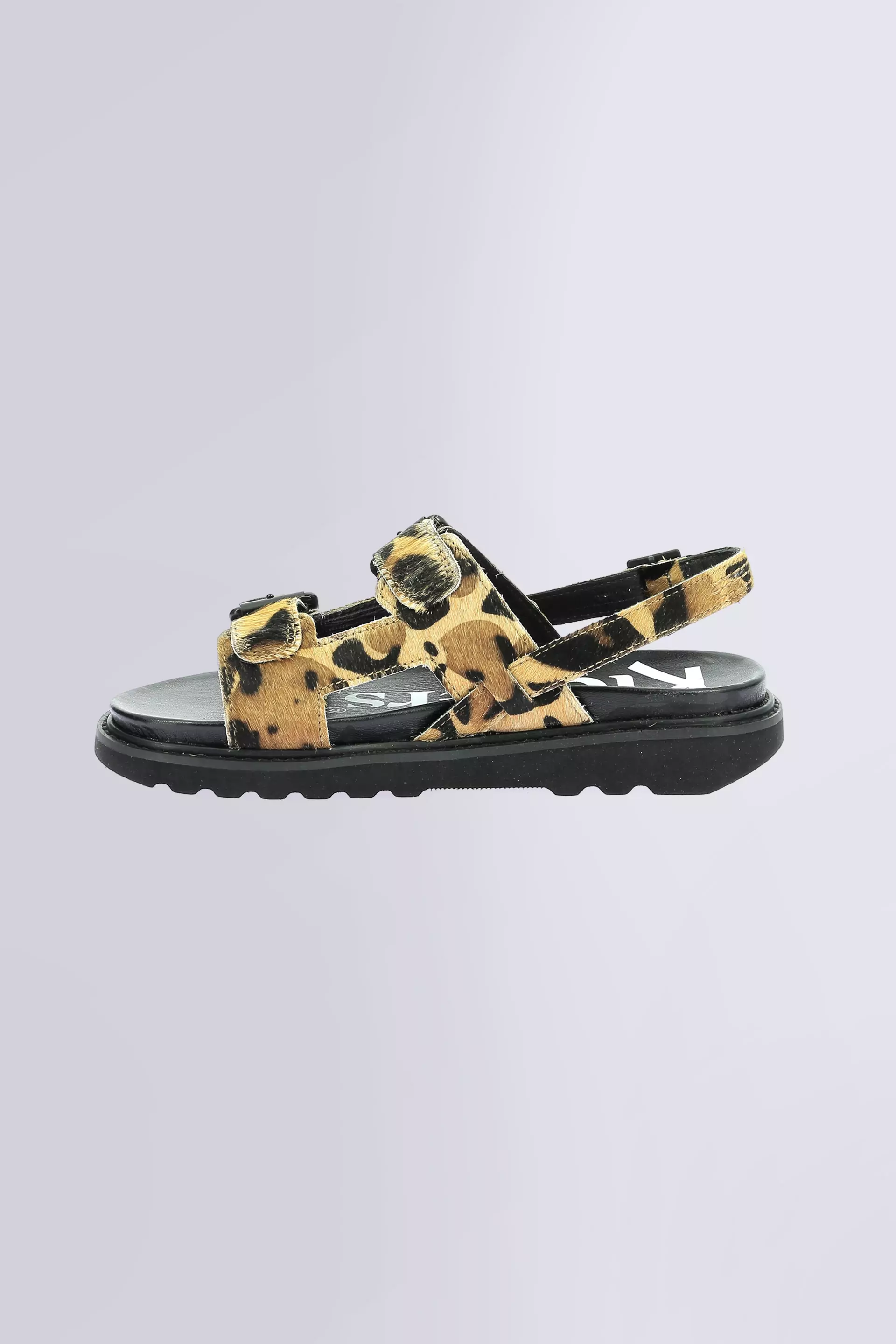 Neosummer Léopard Neosummer Léopard