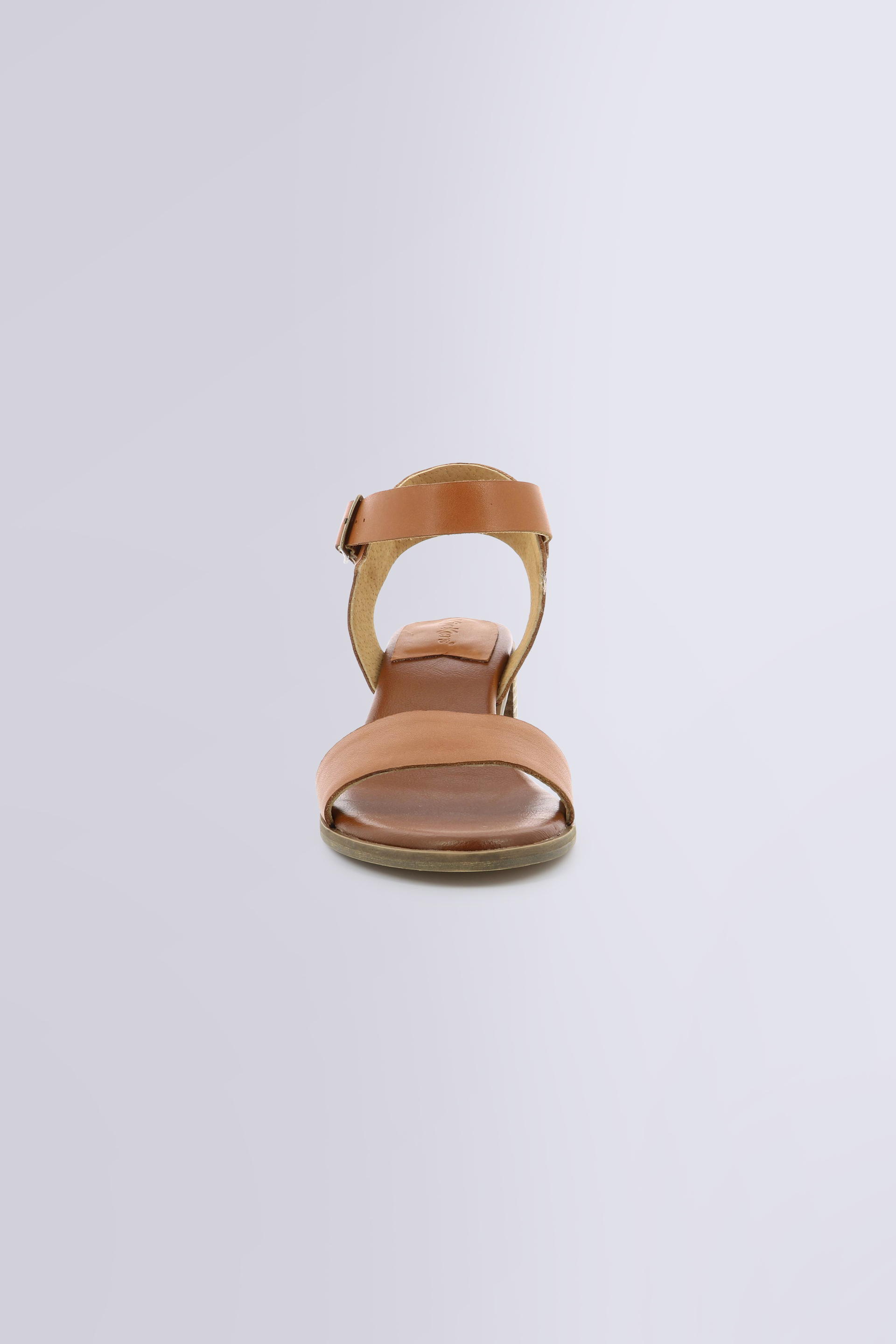 Volou Camel Volou Camel