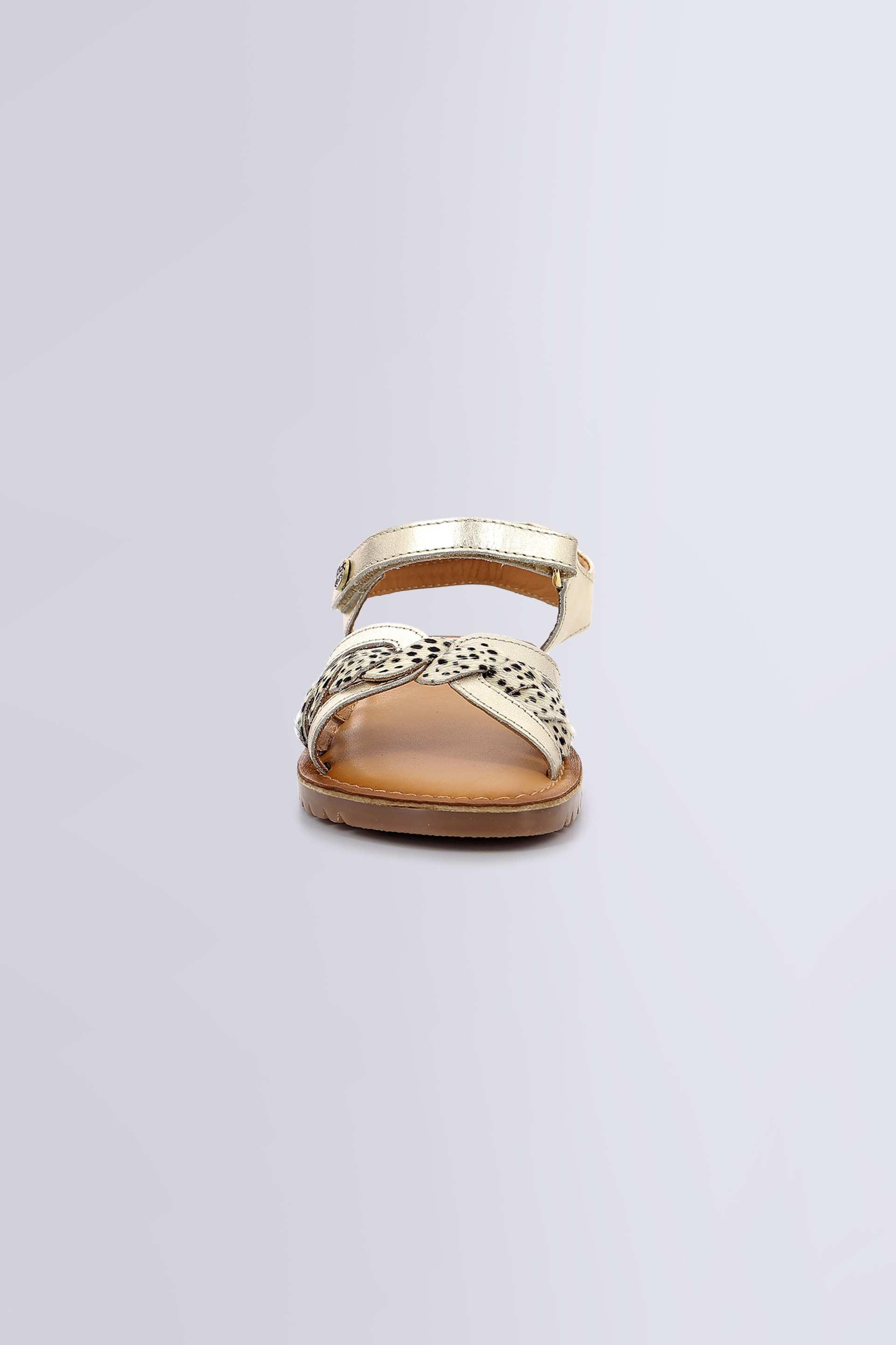 Betty Or Pony Betty Or Pony