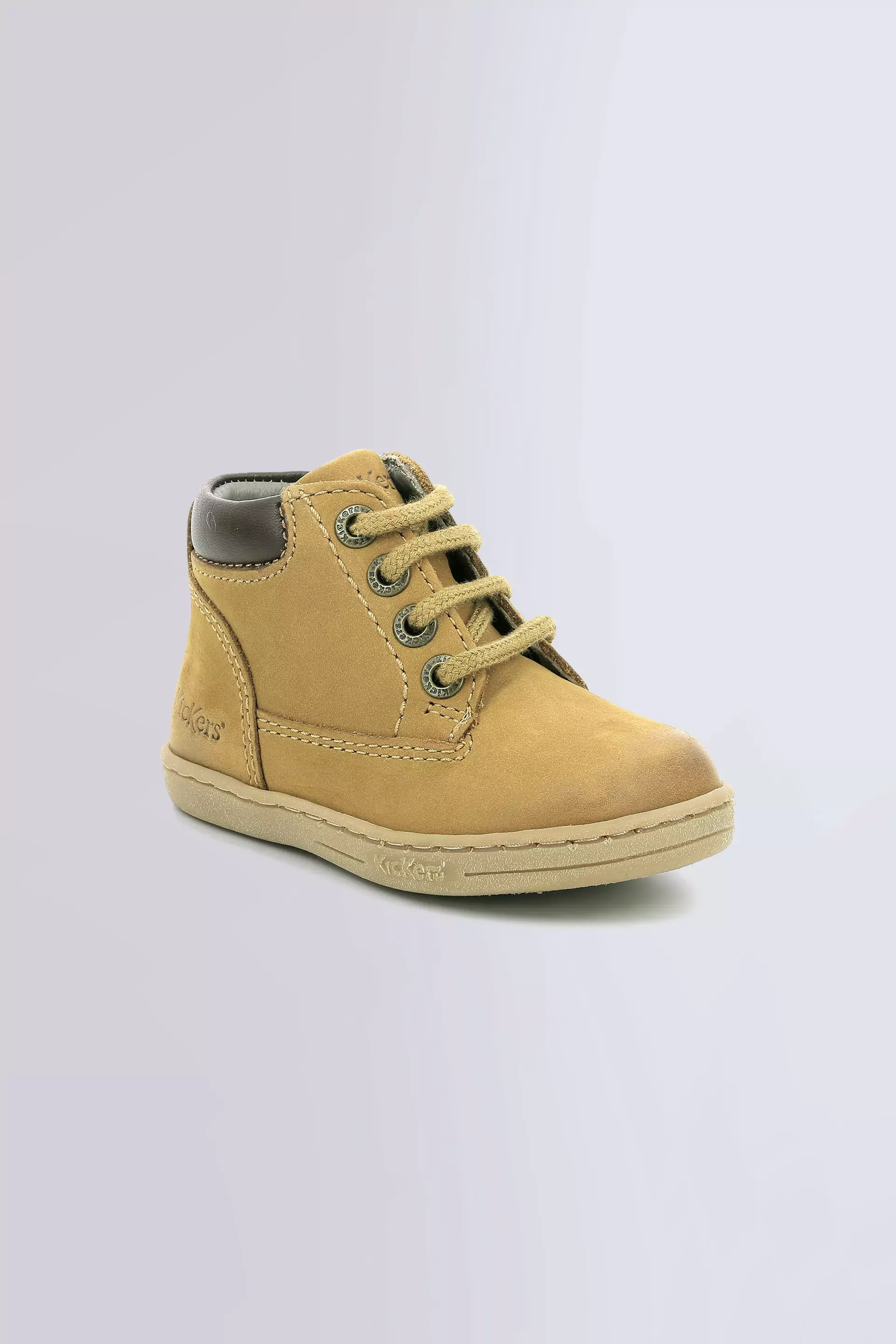 Tackland Camel (18-23)