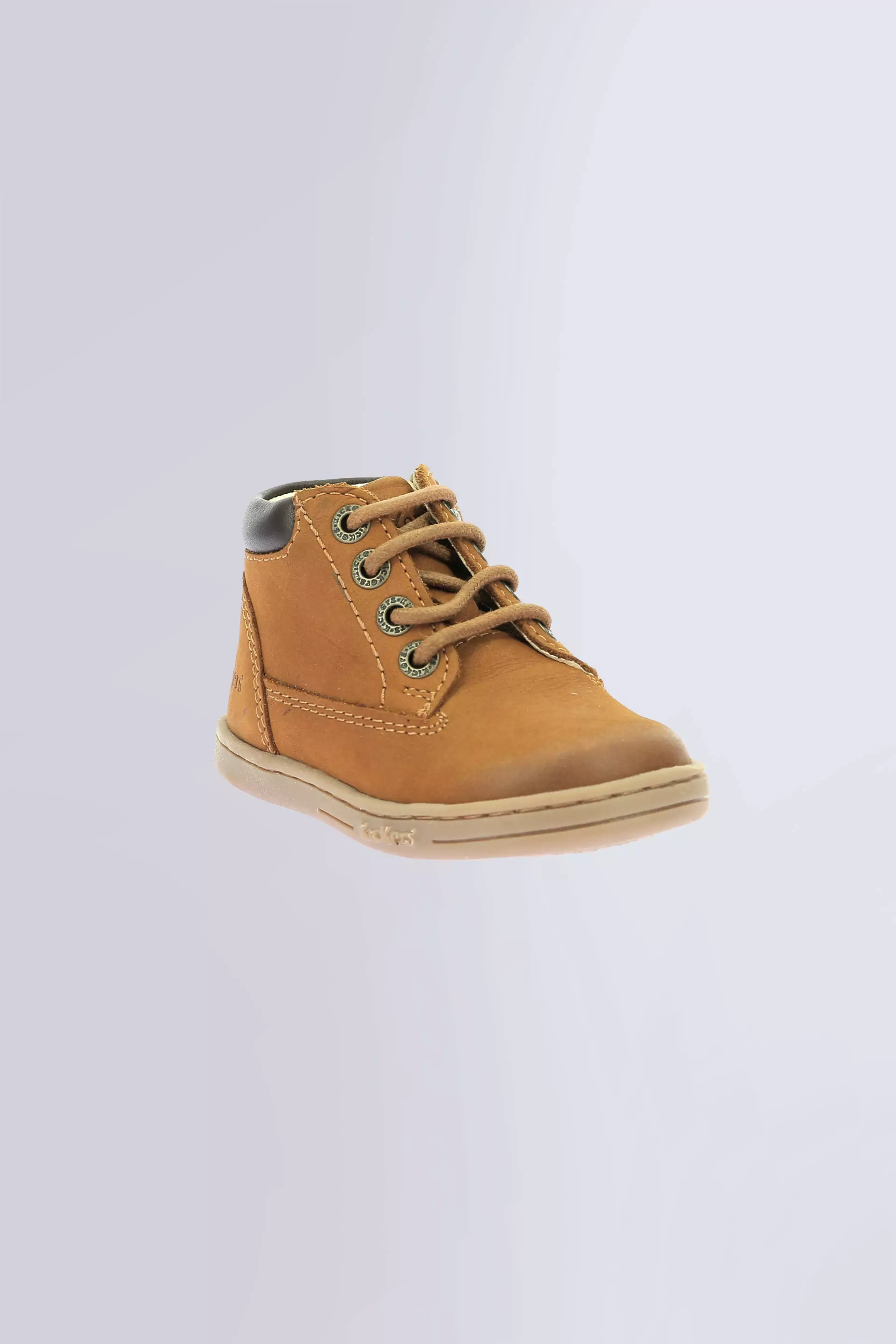 Tackland Camel (24-36)