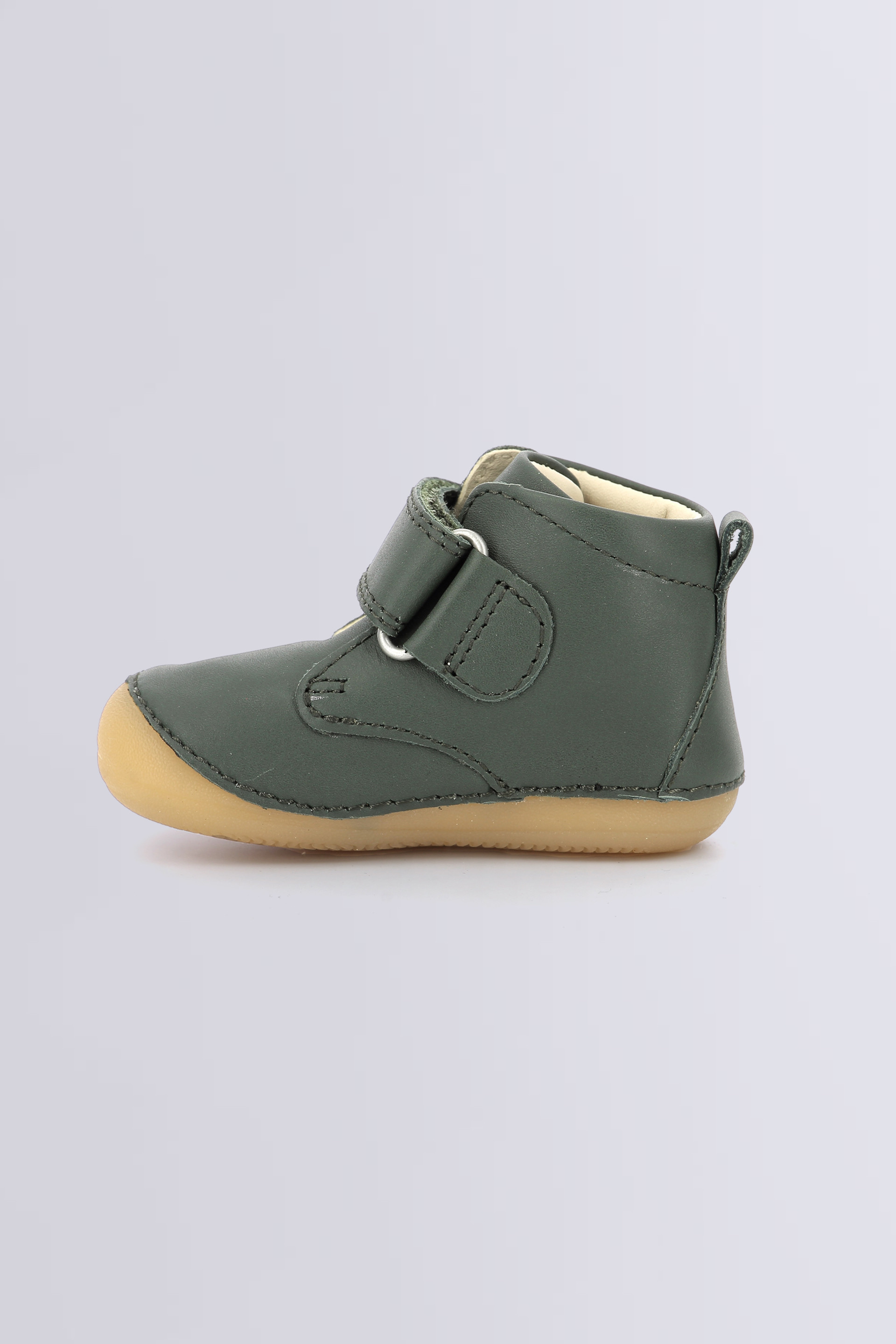 Sabio caqui Sabio caqui