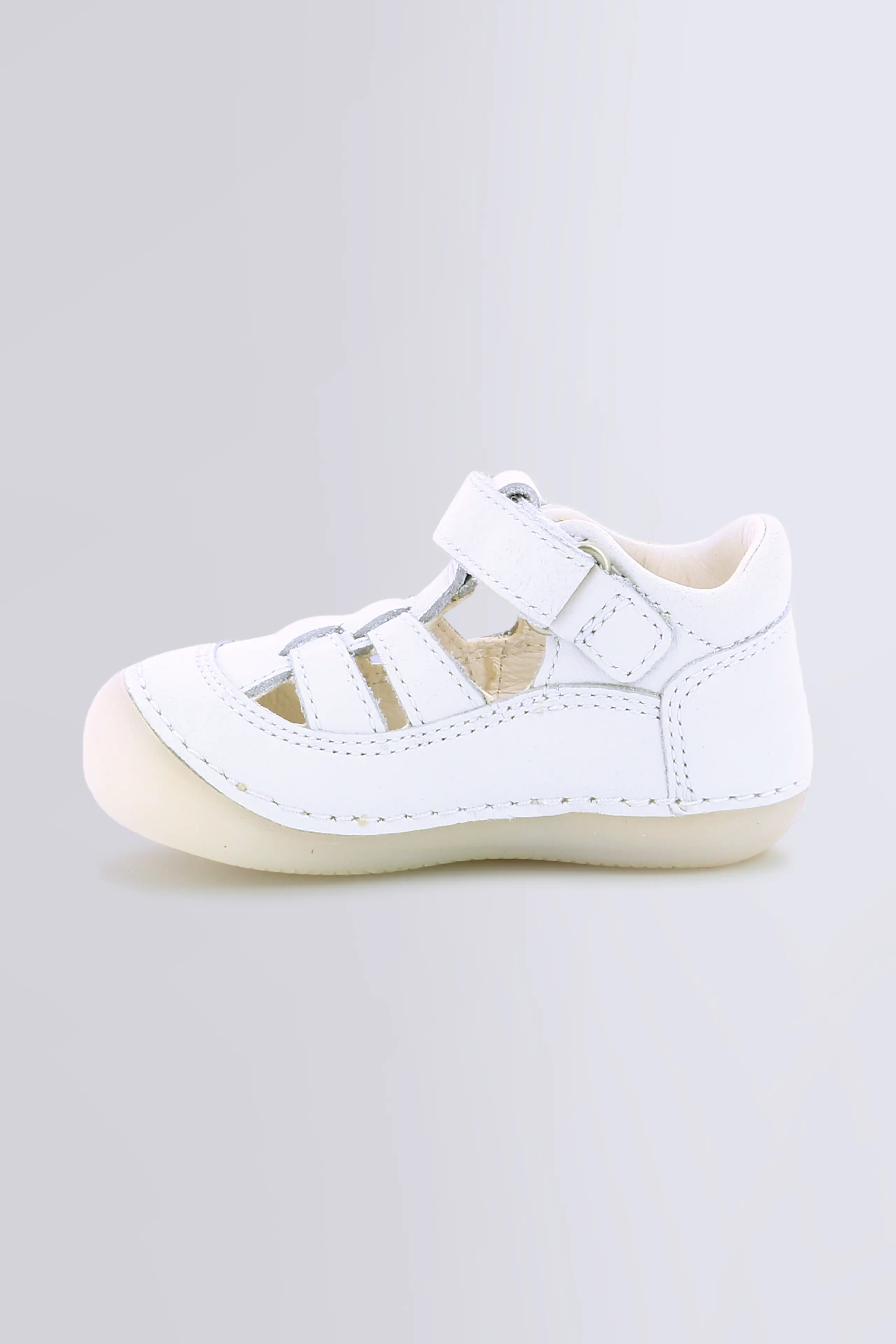 Sushy Blanc Sushy Blanc