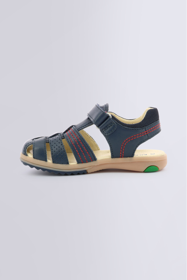 PLATINIUM NAVY PLATINIUM NAVY