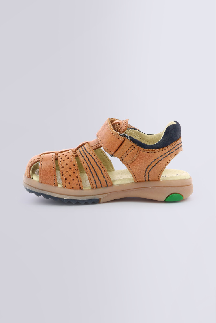 PLATINIUM CAMEL (19-27) PLATINIUM CAMEL (19-27)
