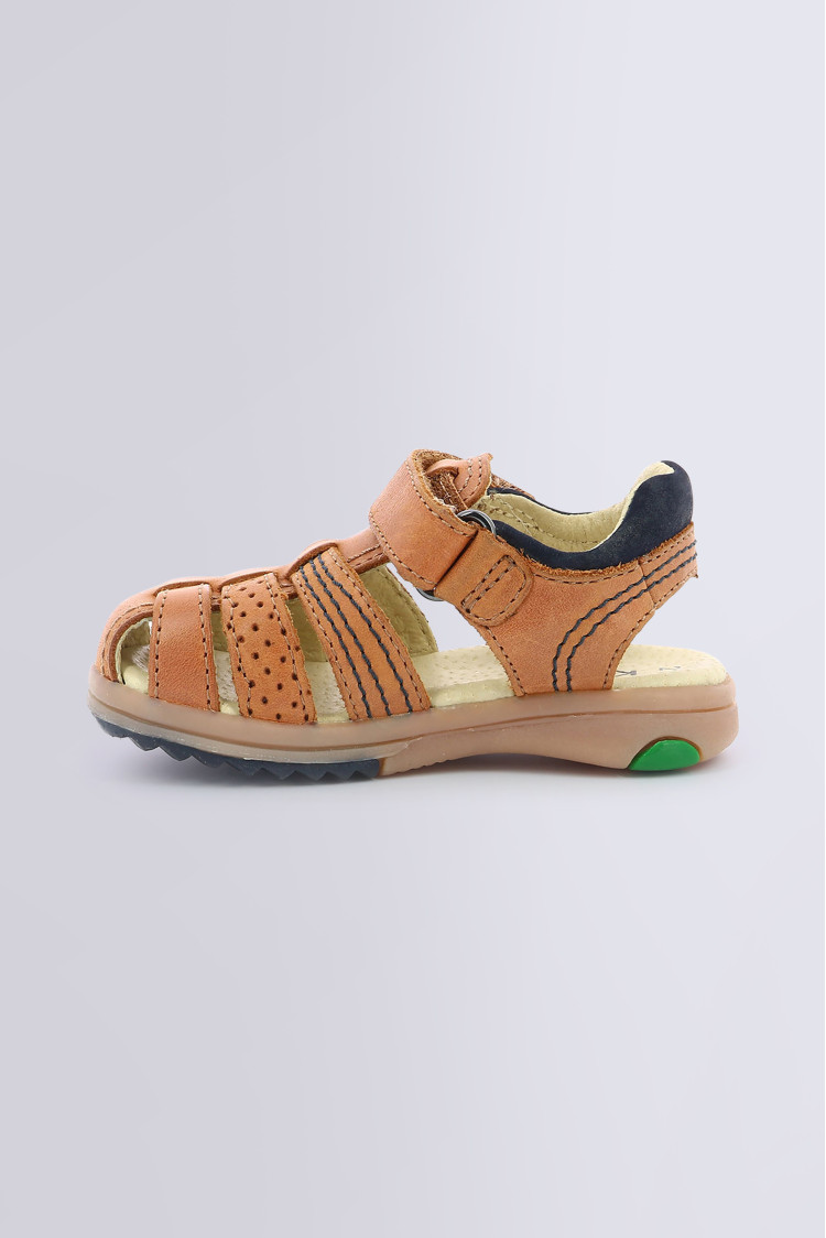 PLATINIUM CAMEL (28-38) PLATINIUM CAMEL (28-38)