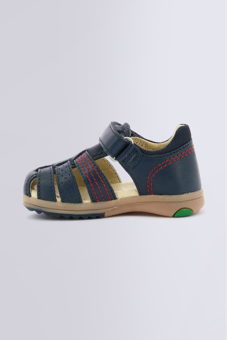 PLATIBACK NAVY PLATIBACK NAVY