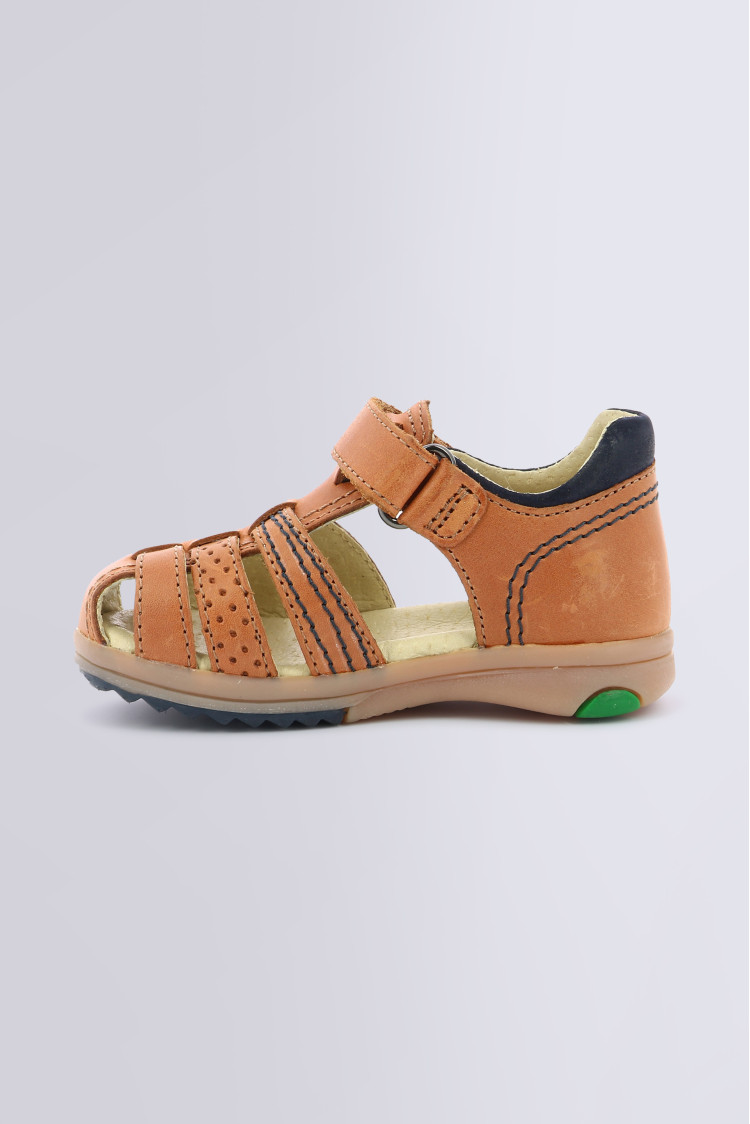 PLATIBACK CAMEL PLATIBACK CAMEL