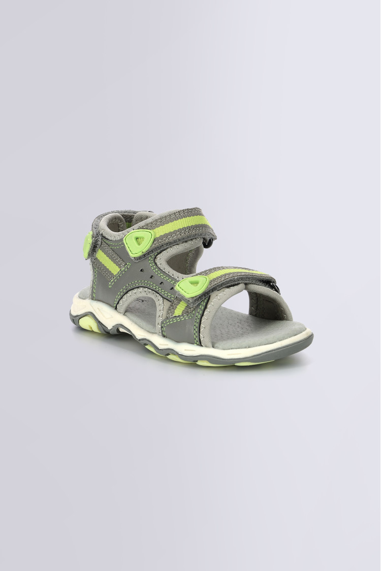 KIWI GRIS VERT KIWI GRIS VERT