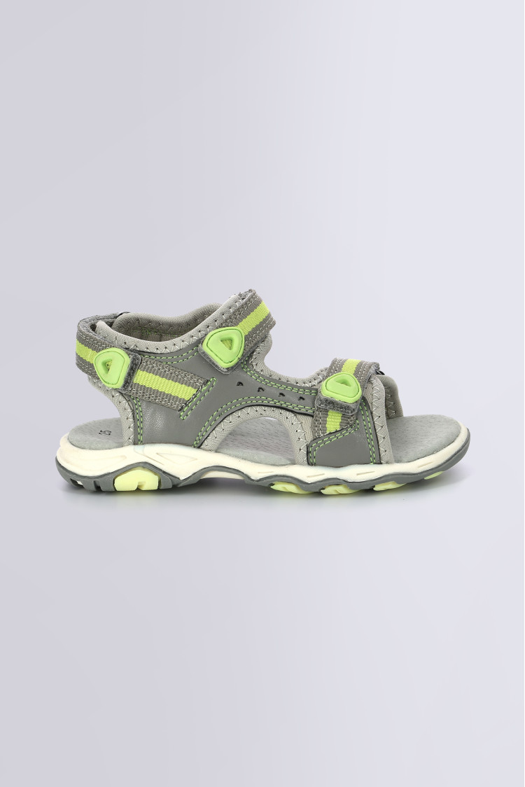 KIWI GRIS VERT KIWI GRIS VERT