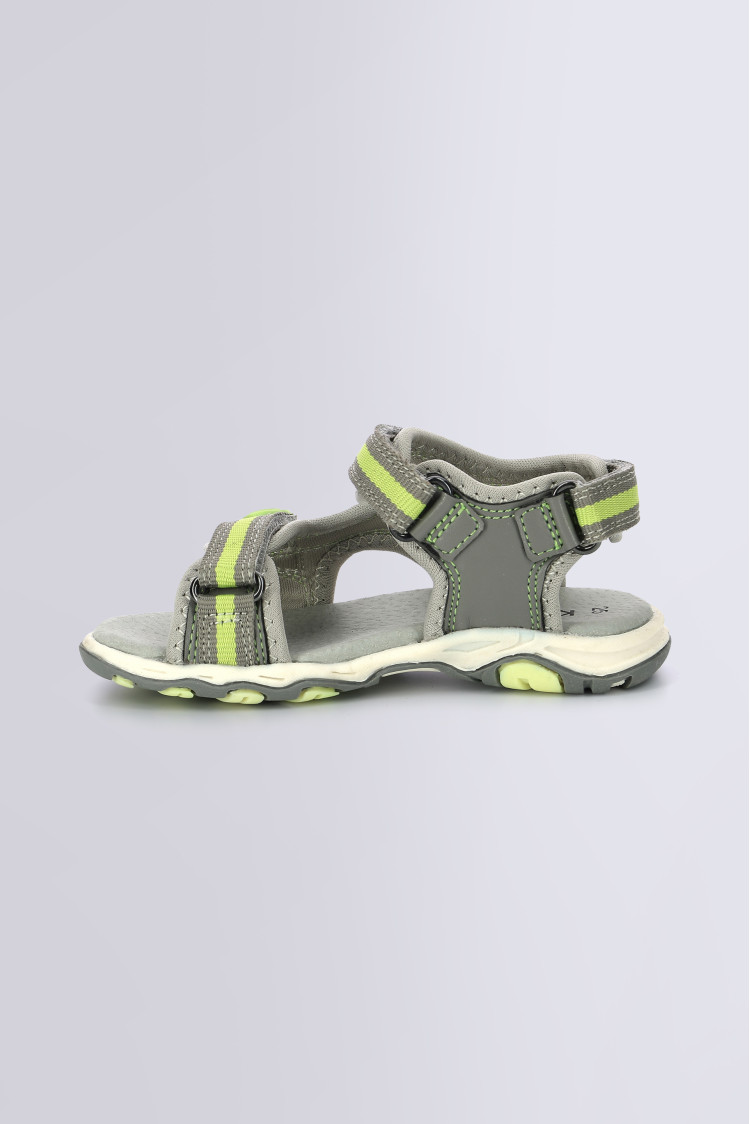 KIWI GRIS VERT KIWI GRIS VERT