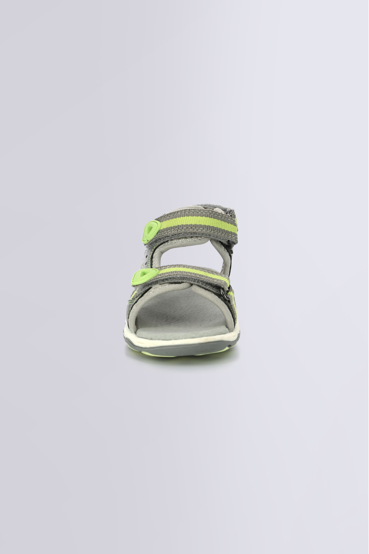 KIWI GRIS VERT KIWI GRIS VERT