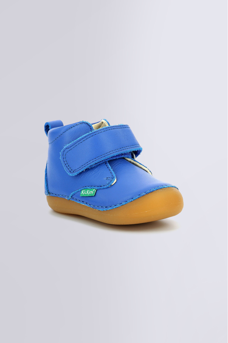 Kickers online sabio bleu