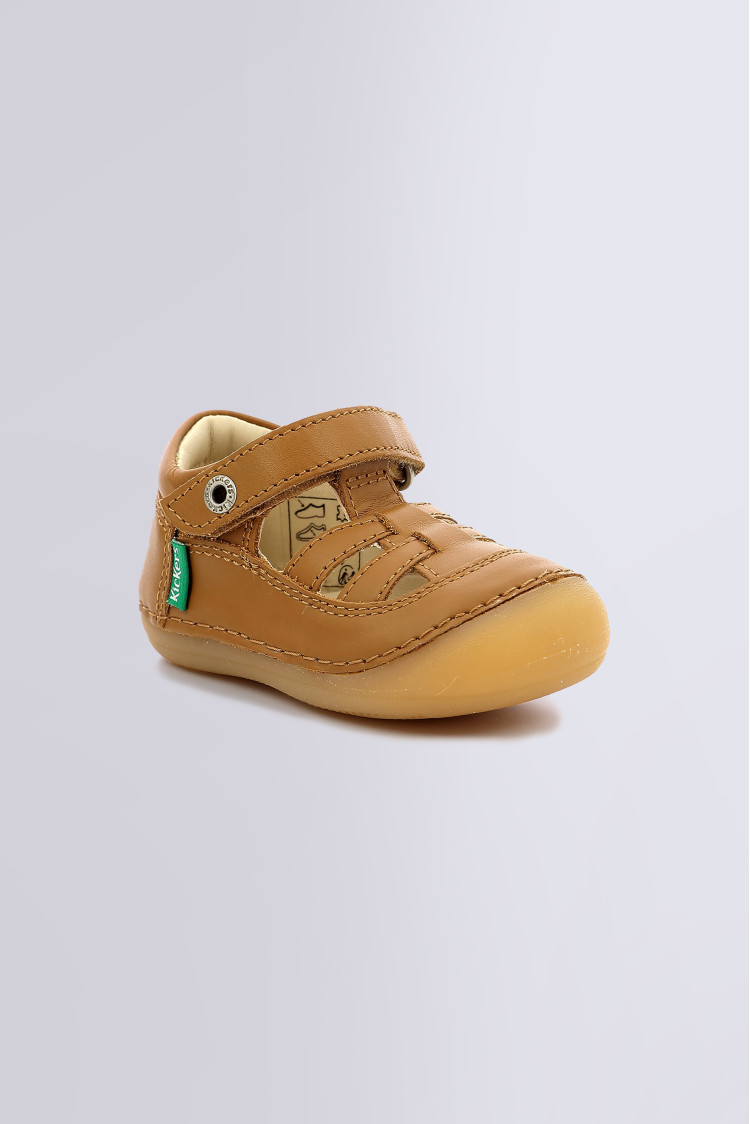 SUSHY CAMEL SUSHY CAMEL