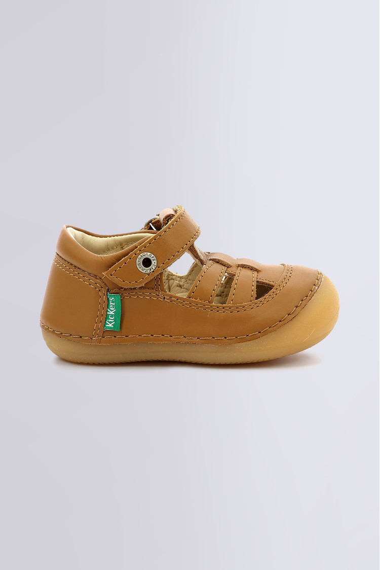 SUSHY CAMEL CLAIR SUSHY CAMEL CLAIR