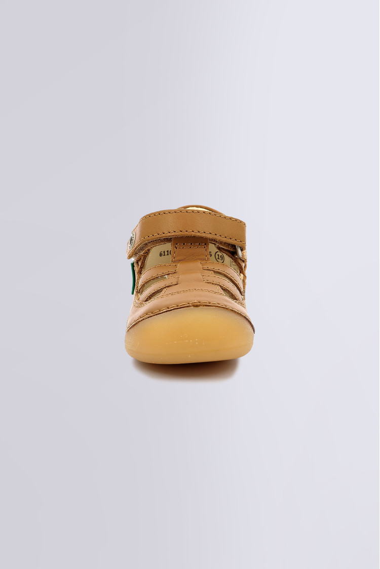 SUSHY CAMEL CLAIR SUSHY CAMEL CLAIR