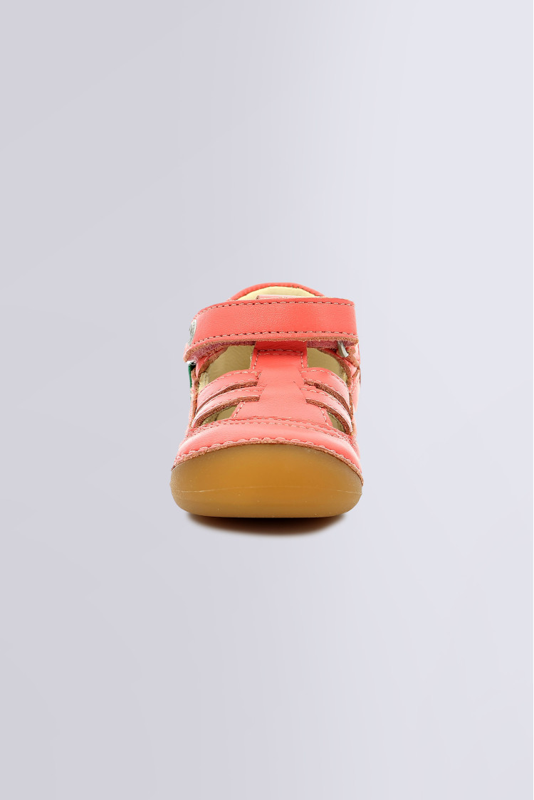 SUSHY PINK SUSHY PINK