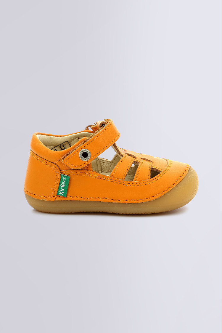 SUSHY ORANGE SUSHY ORANGE