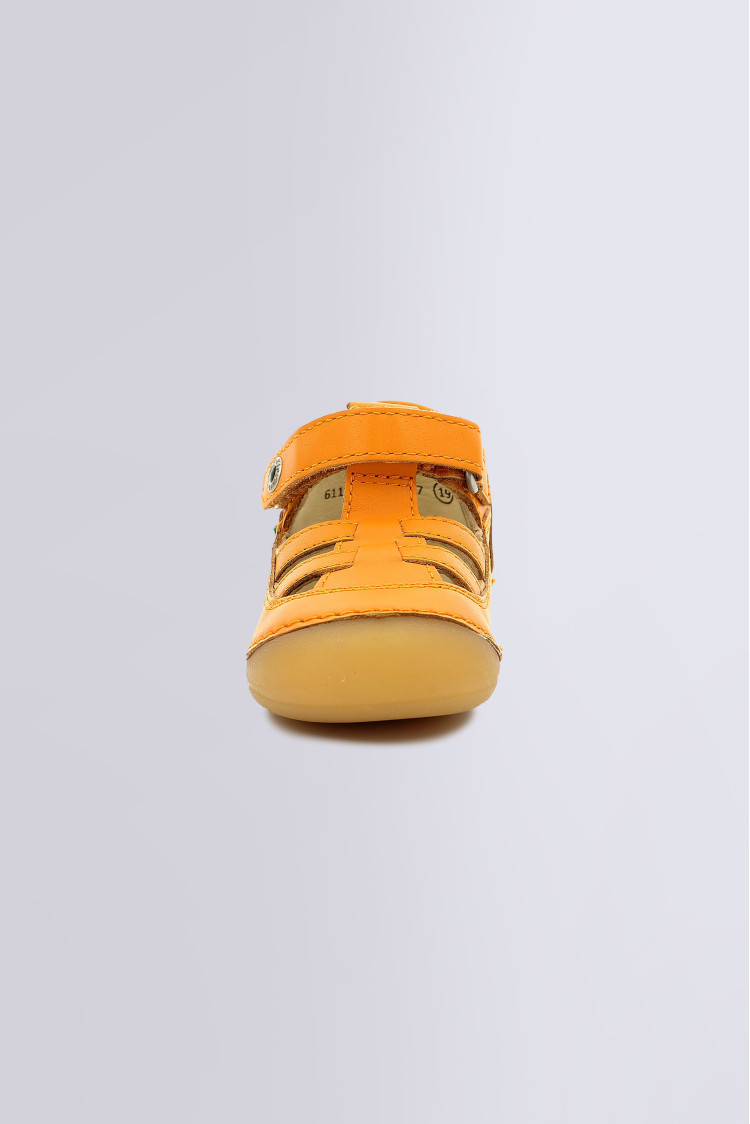 SUSHY ORANGE SUSHY ORANGE