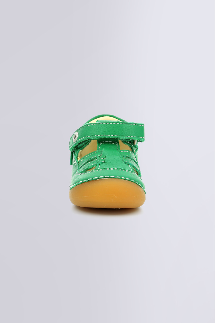 SUSHY VERT SUSHY VERT