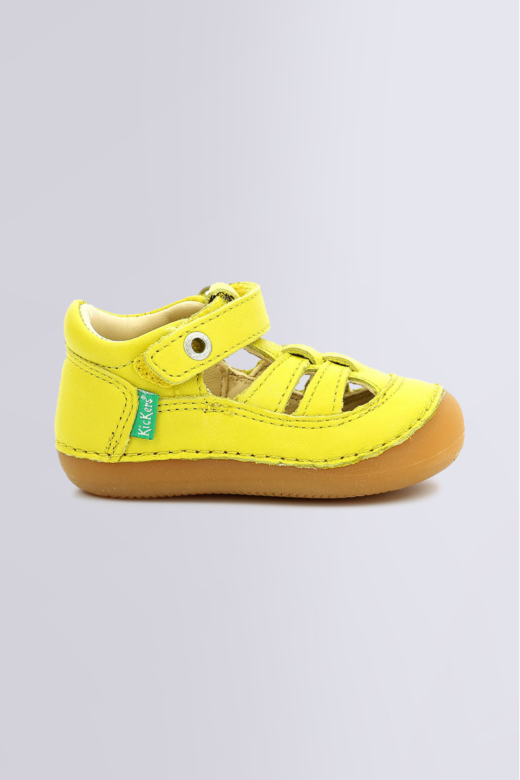 SUSHY JAUNE SUSHY JAUNE