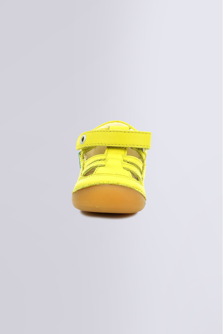 SUSHY JAUNE SUSHY JAUNE