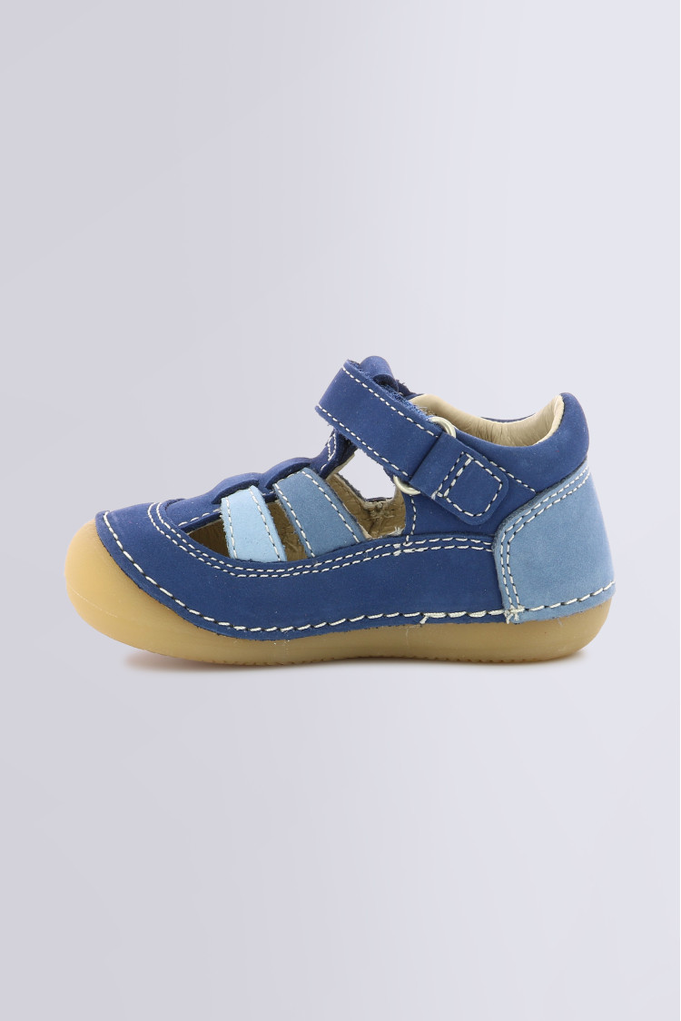 SUSHY BLUE TRICOLOR SUSHY BLUE TRICOLOR