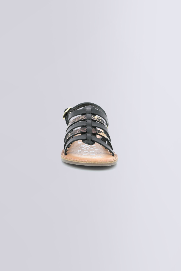 DIXON BLACK REPTILE DIXON BLACK REPTILE