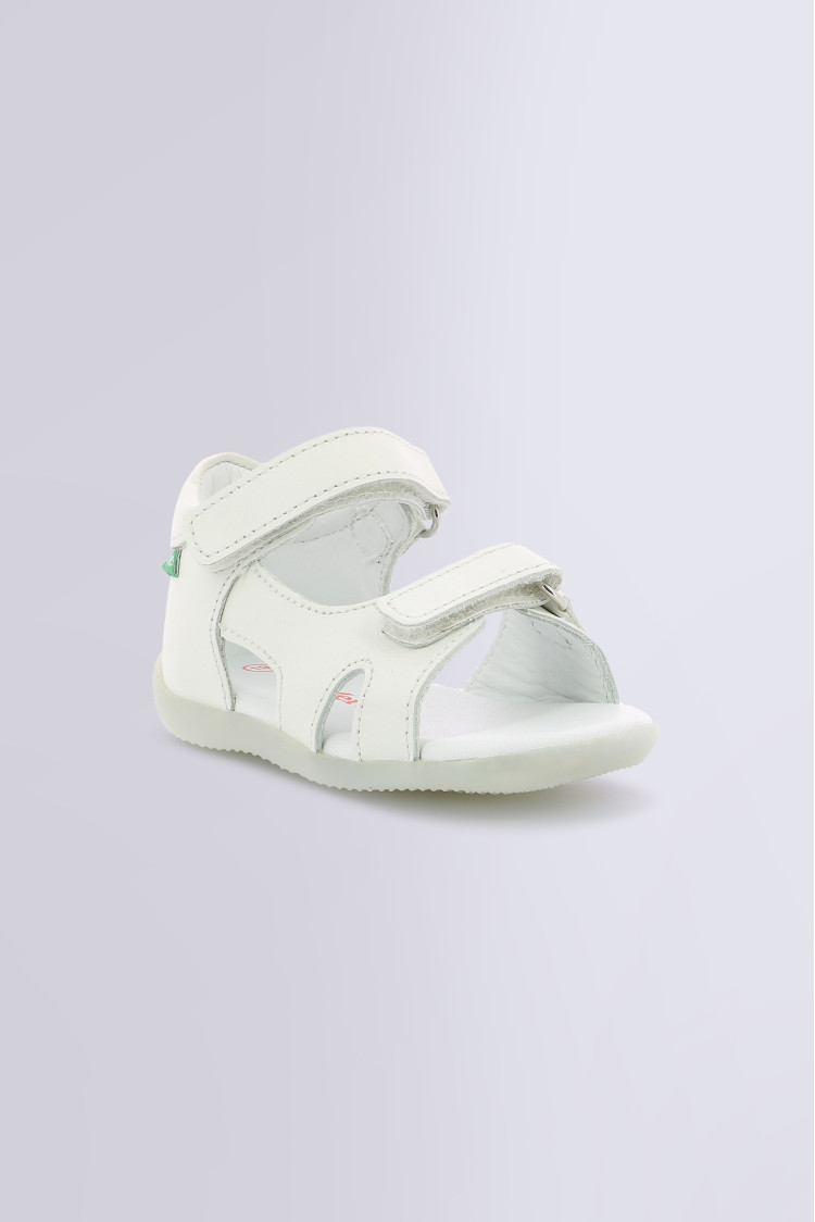 BINSIA-2 WHITE BINSIA-2 WHITE
