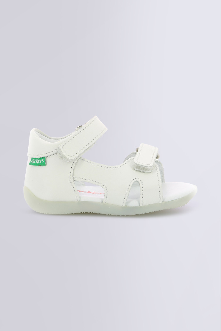 BINSIA-2 WHITE BINSIA-2 WHITE