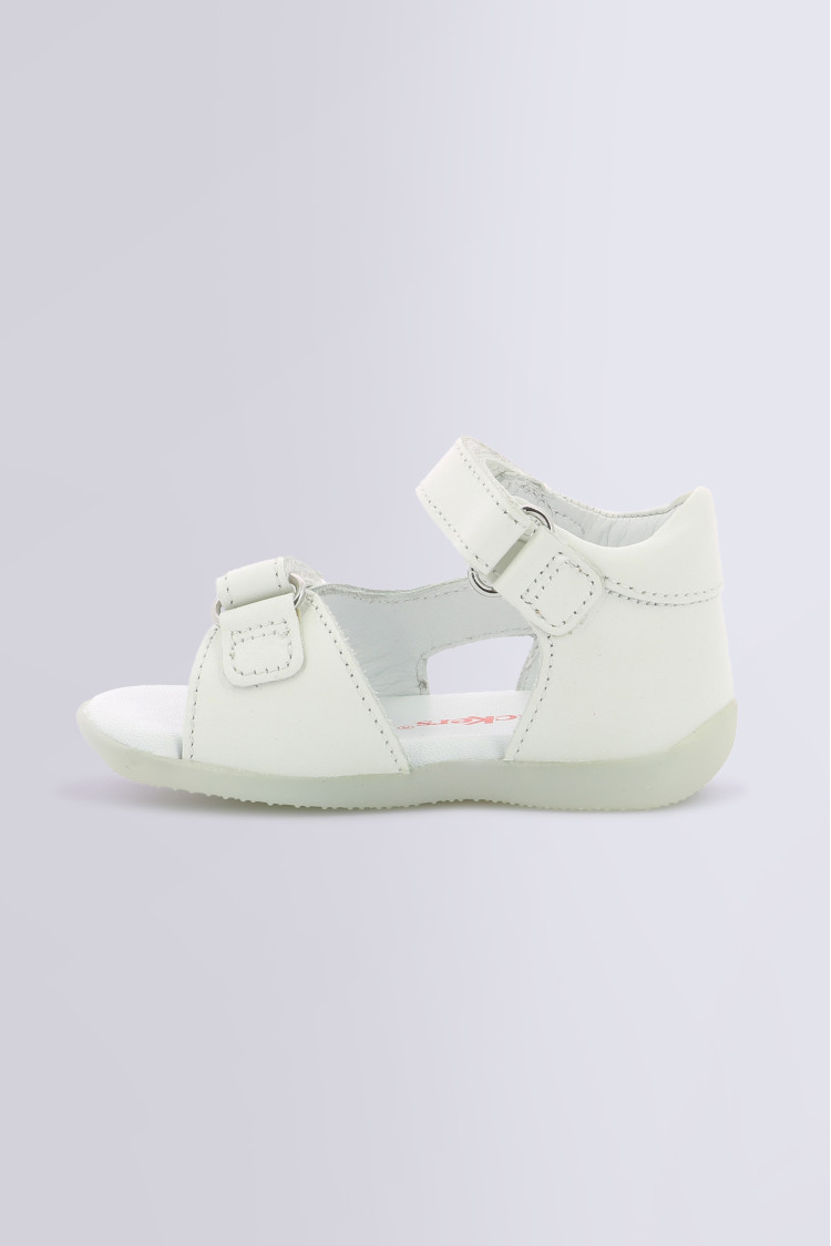 BINSIA-2 WHITE BINSIA-2 WHITE