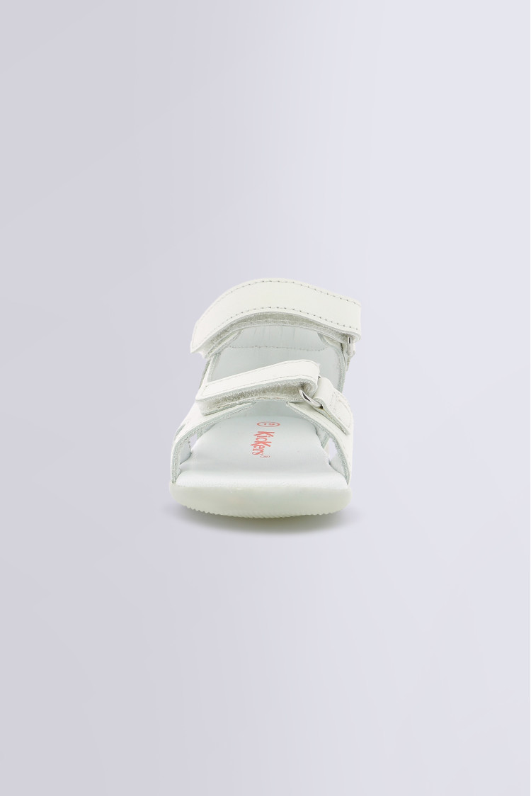 BINSIA-2 WHITE BINSIA-2 WHITE