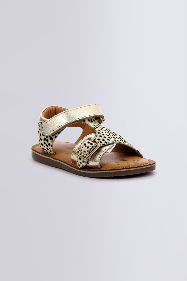 DIAZZ GOLD PONY DIAZZ GOLD PONY