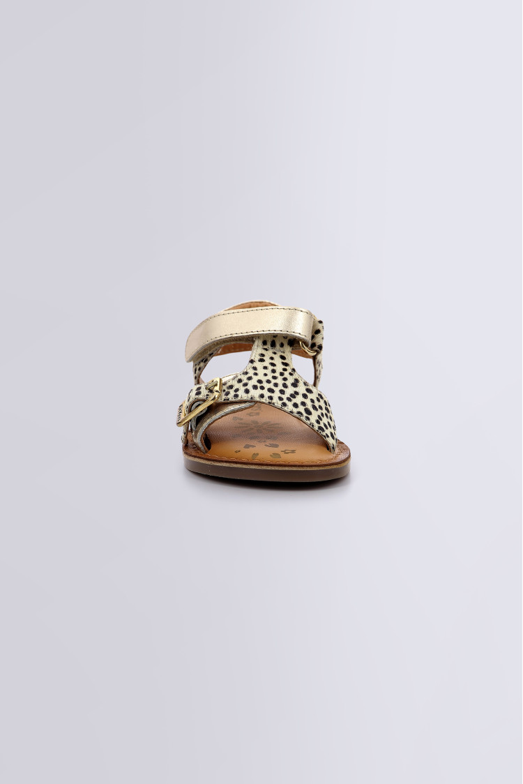 DIAZZ GOLD PONY DIAZZ GOLD PONY