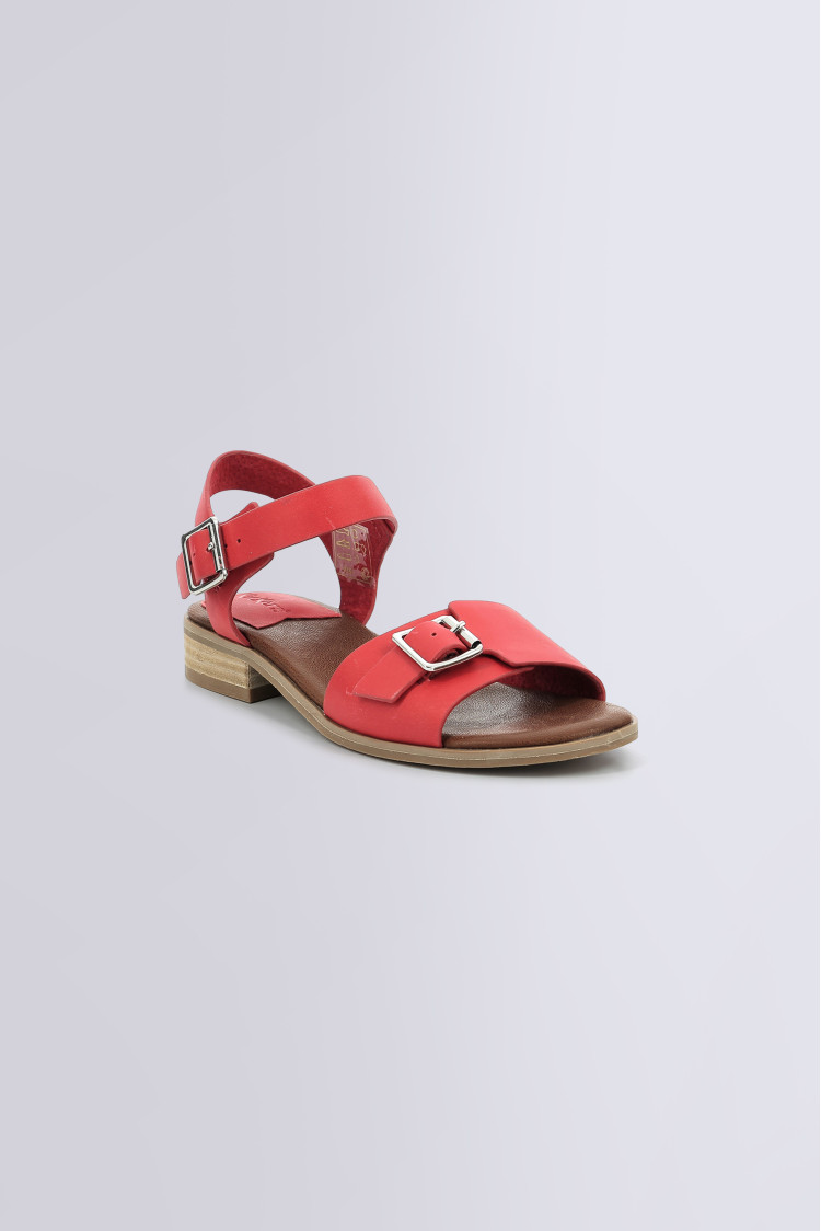 BUCIDI RED BUCIDI RED