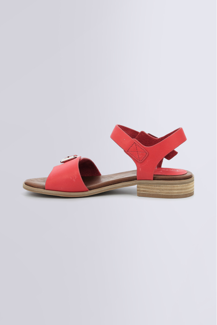 BUCIDI RED BUCIDI RED