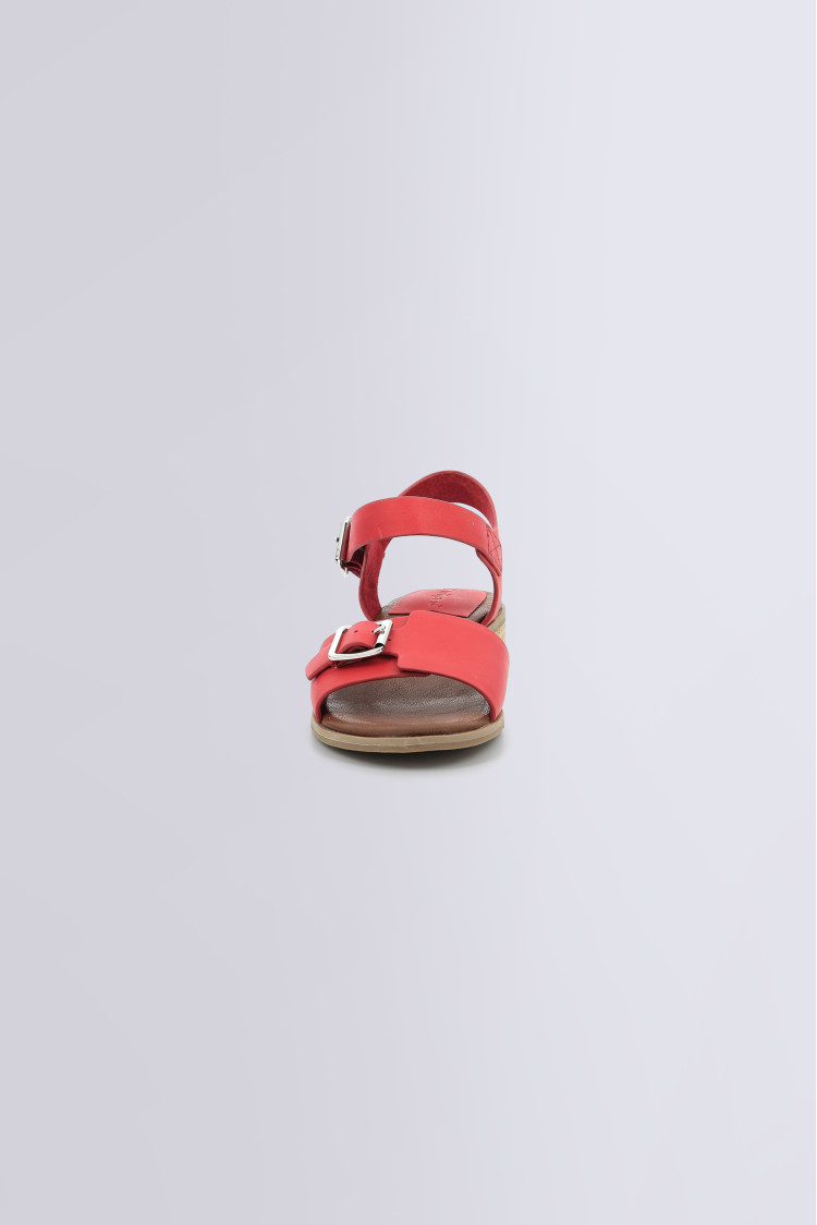 BUCIDI RED BUCIDI RED