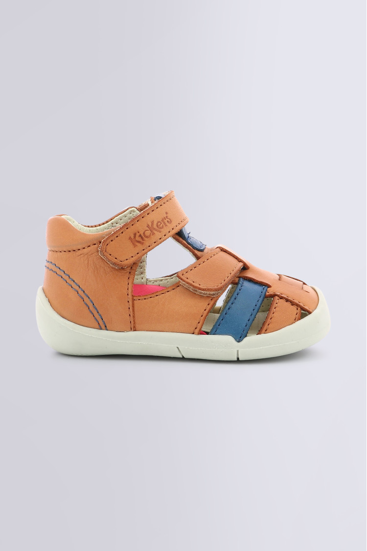 WASABOU CAMEL BLEU WASABOU CAMEL BLEU
