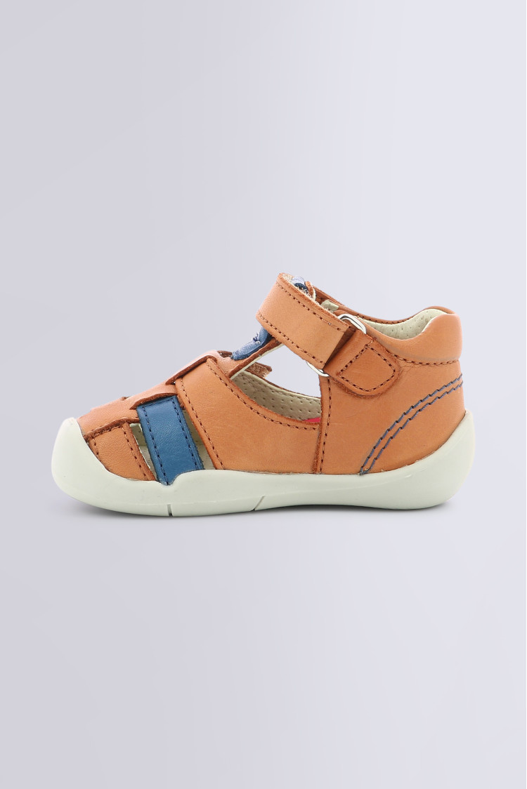 WASABOU CAMEL BLUE WASABOU CAMEL BLUE