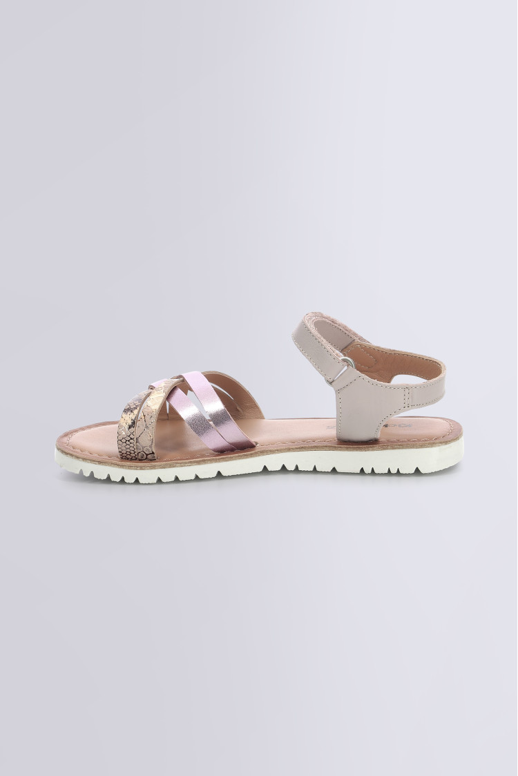 BETTERNEW VIOLET CLAIR REPTILE BETTERNEW VIOLET CLAIR REPTILE