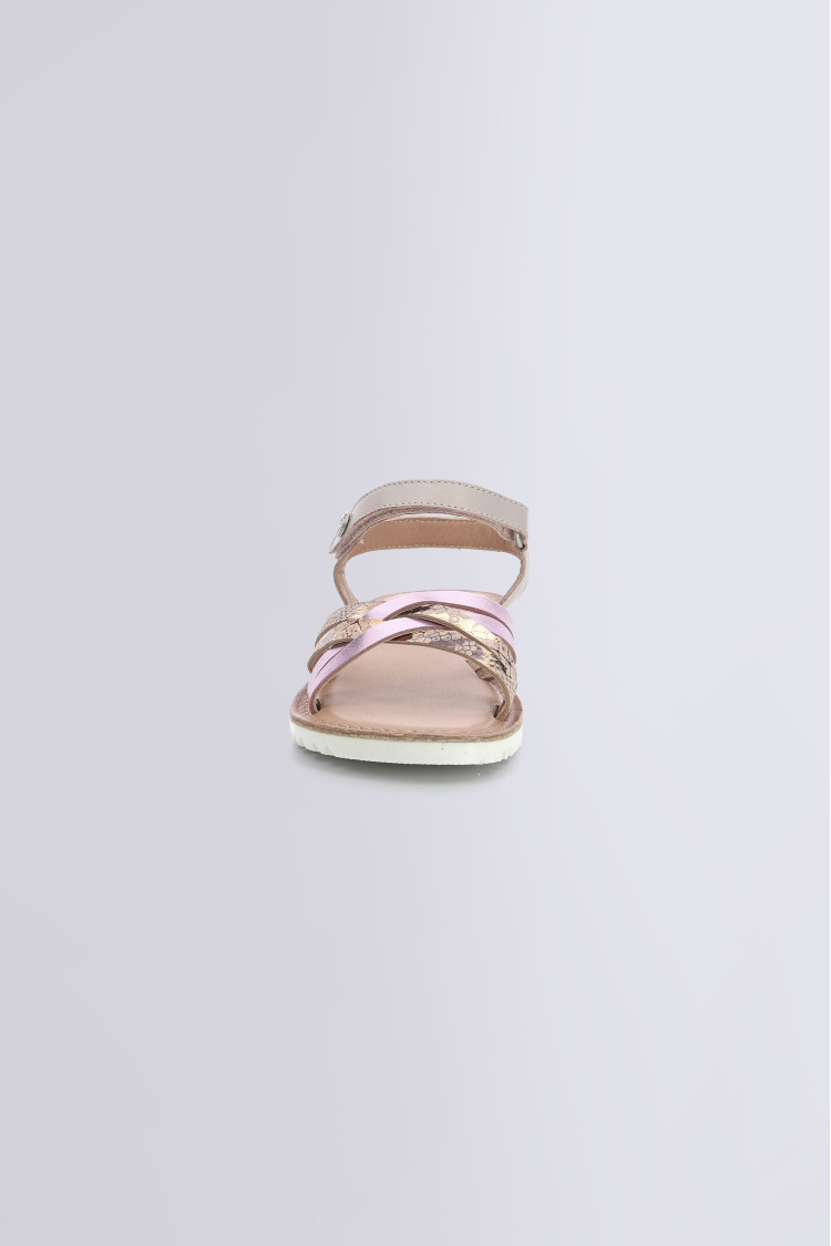 BETTERNEW VIOLET CLAIR REPTILE BETTERNEW VIOLET CLAIR REPTILE