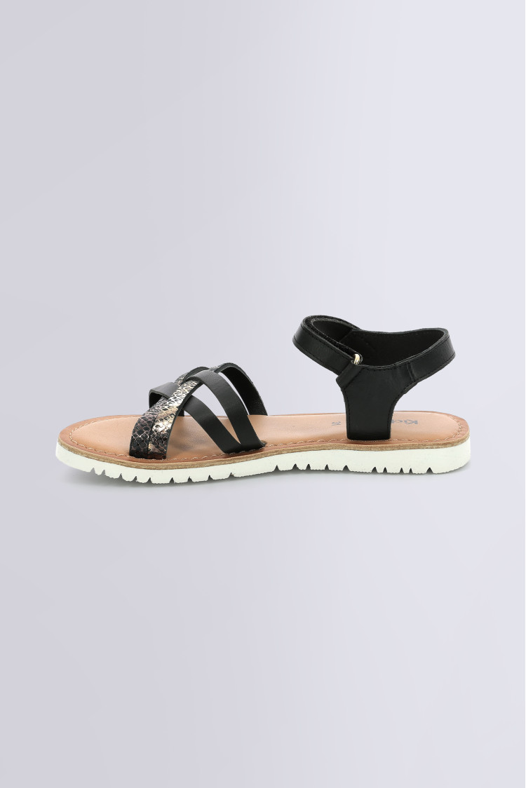 BETTERNEW NOIR REPTILE BETTERNEW NOIR REPTILE