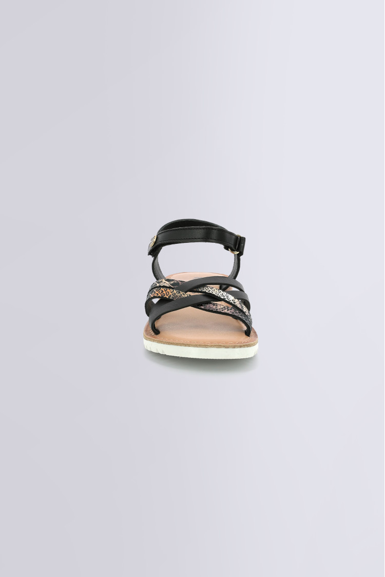 BETTERNEW NOIR REPTILE BETTERNEW NOIR REPTILE