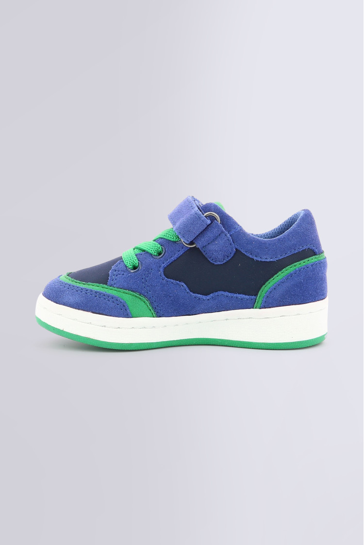 BISCKUIT BLEU VERT BISCKUIT BLEU VERT