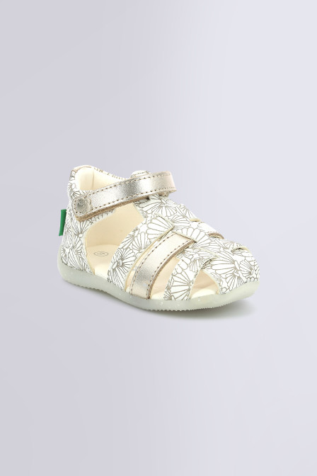 BIGFLO-2 WHITE SILVER SEASHELL